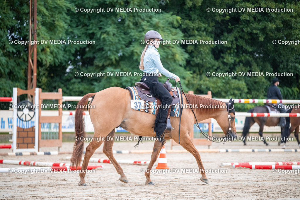 ZS3_4477 | dv-media-shop - Realisiert mit Pictrs.com