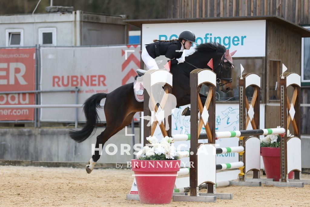 0P6A8551 | Willkommen bei Brunnmayr - Design & Fotografie – Ihrem Spezialisten für Reitturniere und Pferdeveranstaltungen in Oberösterreich, Salzburg und Bayern! Seit über 17 Jahren sind wir leidenschaftlich dabei.