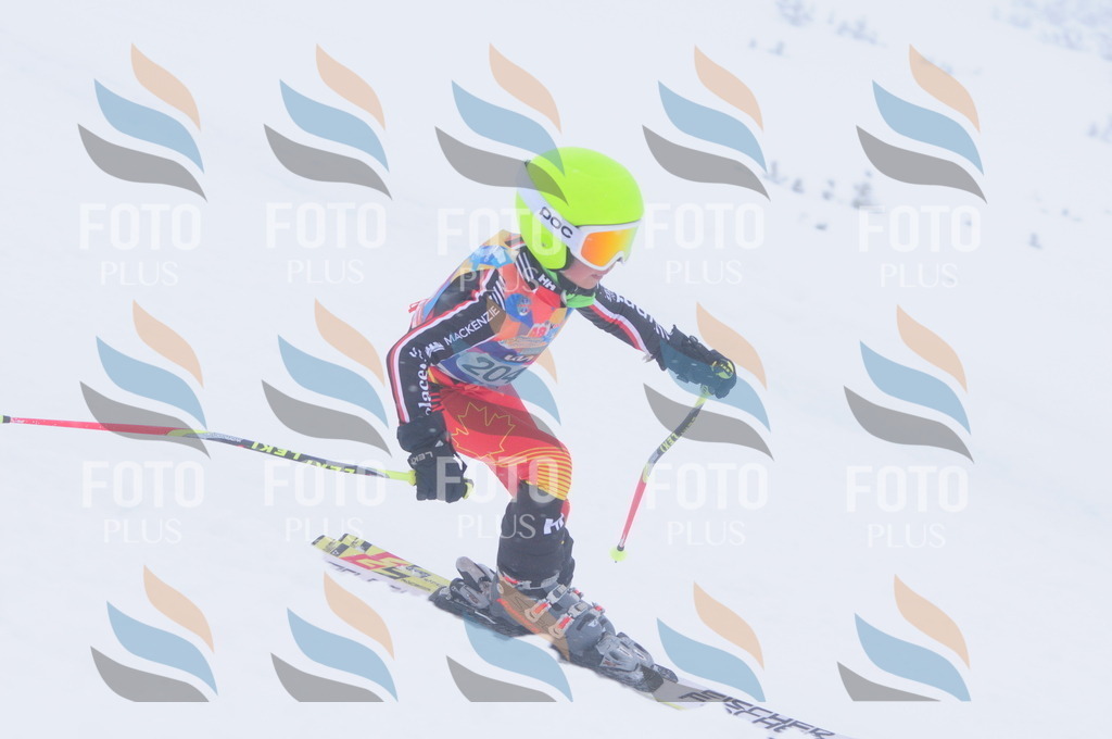 C2229 | holidayphoto