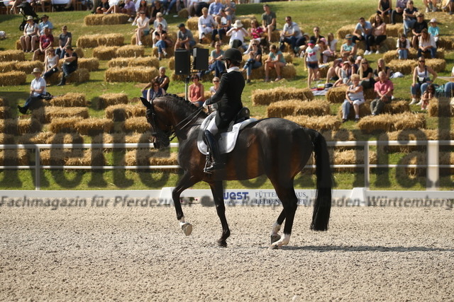Birkhof_2022_GrandPrixSpecial_Franziska Stieglmaier_DSP Dauphin (13) | Alle Fotos der Reiterjournal Fotografin Doris Matthaes im Reiterjournal Online-Fotoshop. - Realisiert mit Pictrs.com