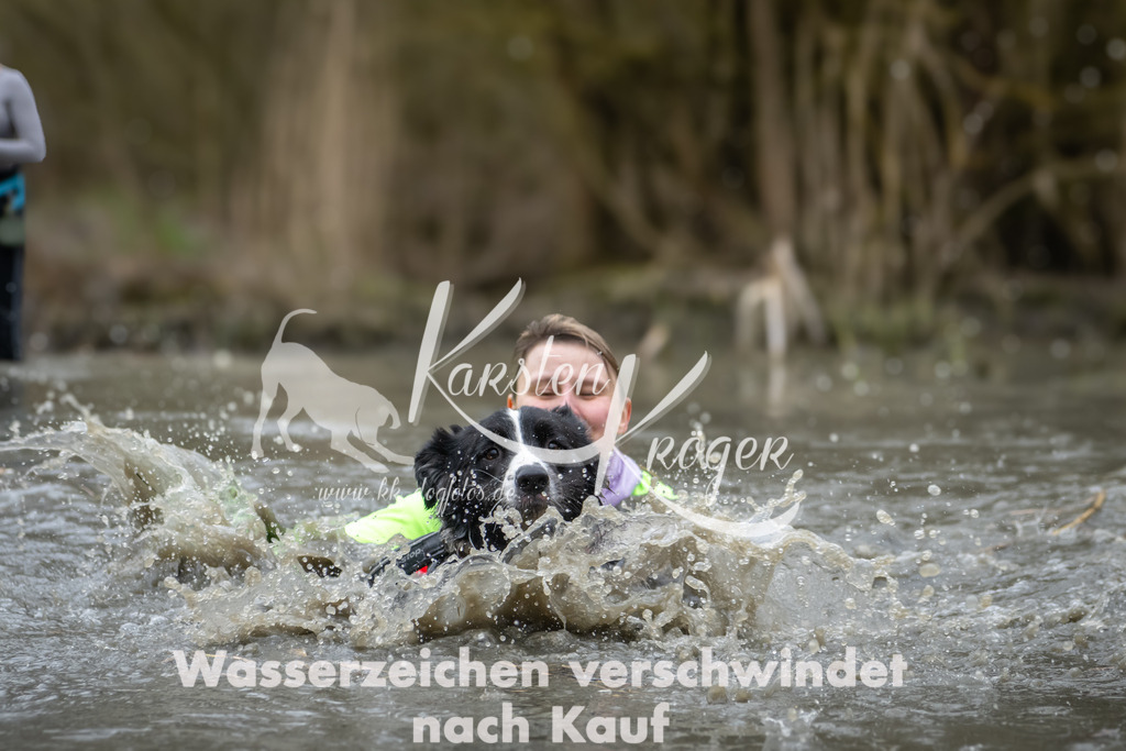 1054_ZZ93523 | kk-dogfotos