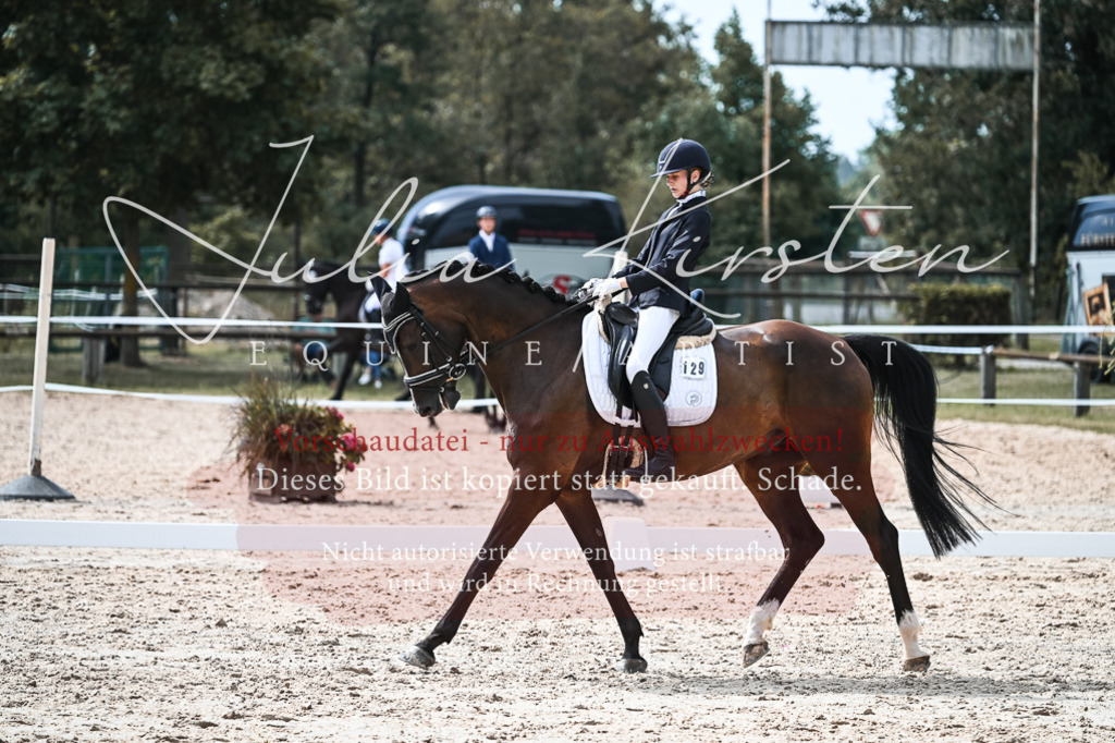 DSC_5186 | Pferde- und Turnierfotografie in Westsachsen. Pferdeportraits, Auftragszeichnungen und intuitive Kunst.