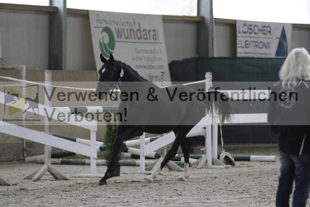 _MG_9356 | equestrian-live-com