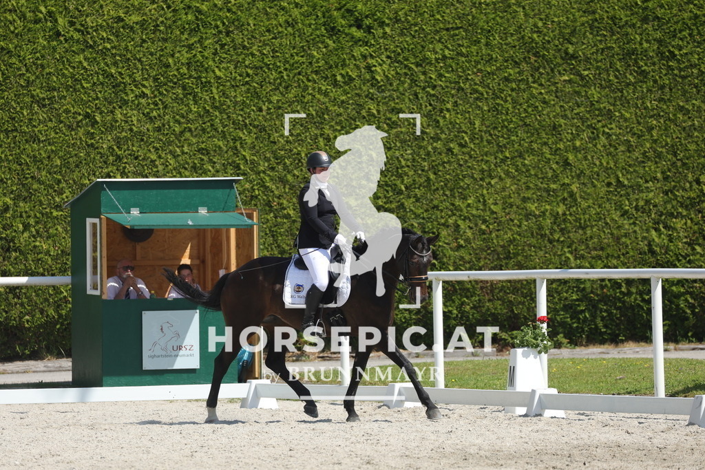 0P6A2793 | Willkommen bei Brunnmayr - Design & Fotografie – Ihrem Spezialisten für Reitturniere und Pferdeveranstaltungen in Oberösterreich, Salzburg und Bayern! Seit über 17 Jahren sind wir leidenschaftlich dabei.