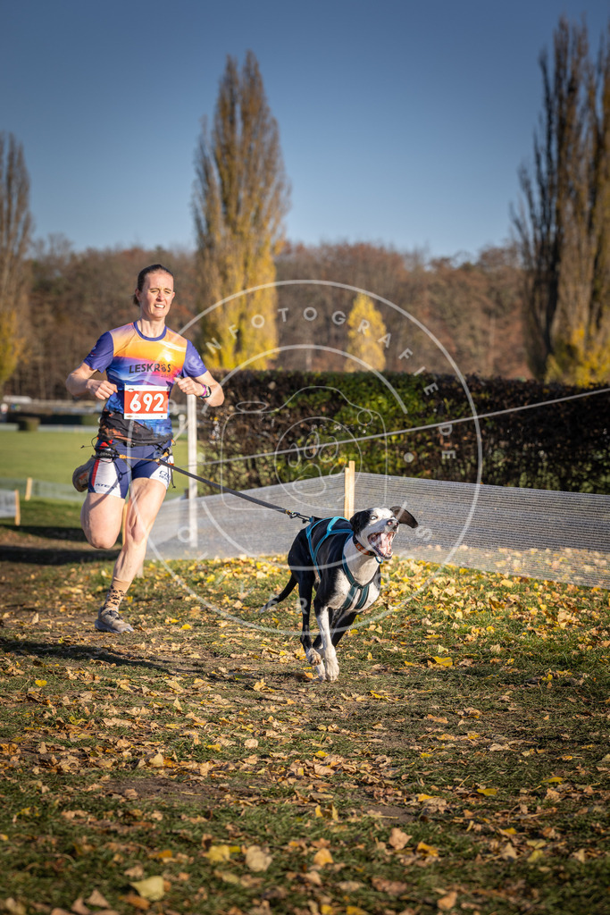 CaniXpix_DV3A1311 | Hundefotografie, Tierfotograf, Pfotenfotografie, Fotoshooting Hund, Hunde Portrait, Hundesport, Hundeportraits, Heideshooting, Hunde, Sportfotograf, Hundefotograf, Turnierhundsport, THS,  - Realisiert mit Pictrs.com