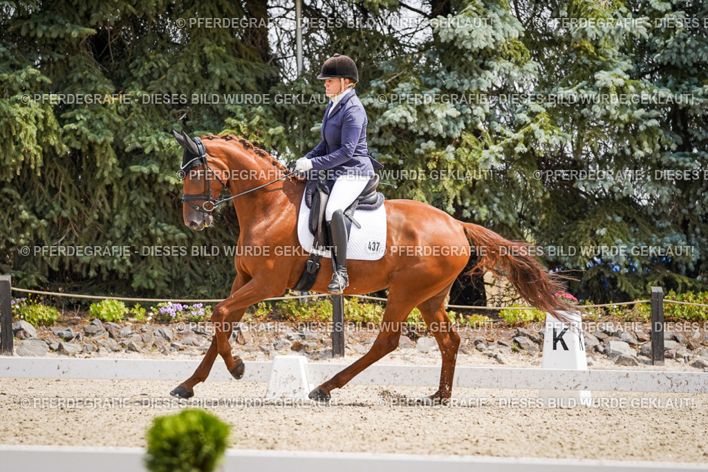 DSC00574 | Pferdegrafie