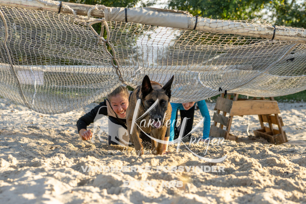 1653_ZZ90178 | kk-dogfotos