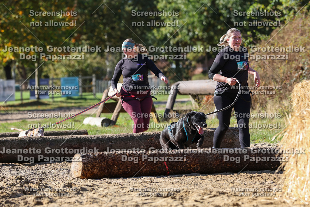 Dog Paparazzi - Strongdog 10-25-4647 | Dog Paparazzi Jeanette Grottendiek Fotografie & Videografie - Realisiert mit Pictrs.com
