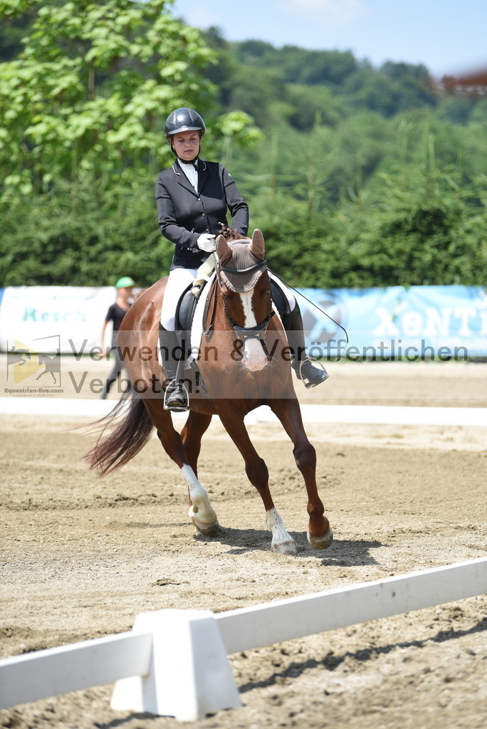 DSC_0014 | equestrian-live-com