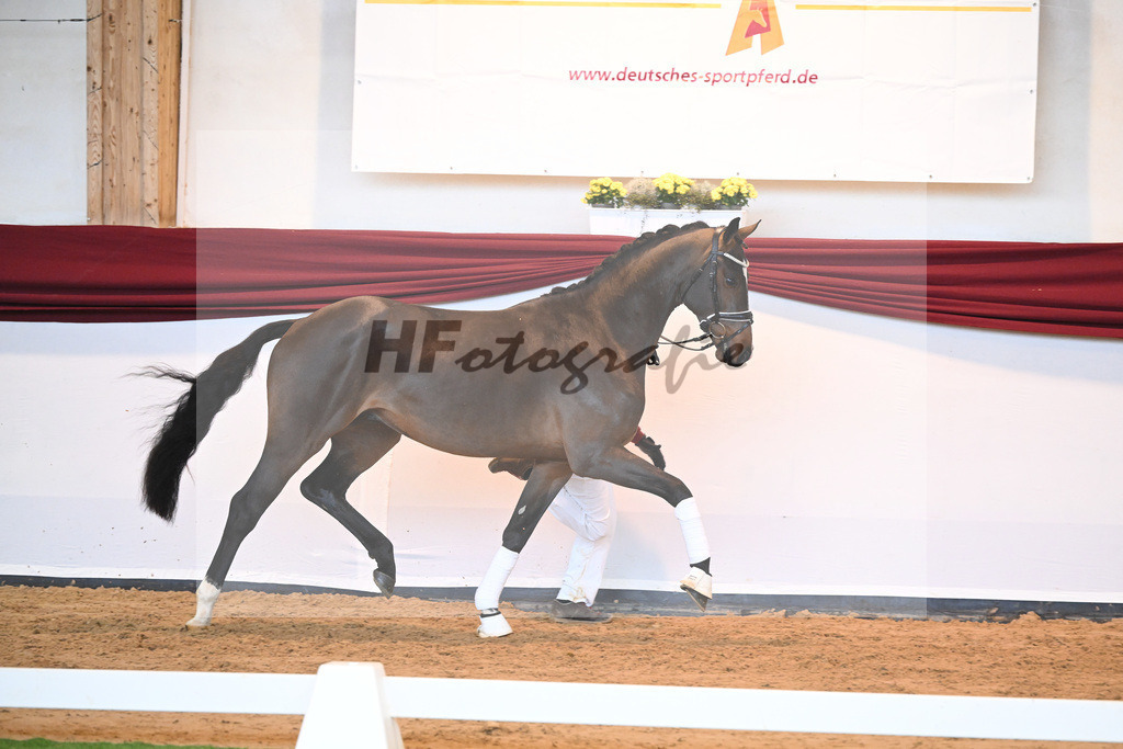 Kat-Nr. 61 v. Goldberg_Reglauer_66222000 | hf-fotografie - Realisiert mit Pictrs.com