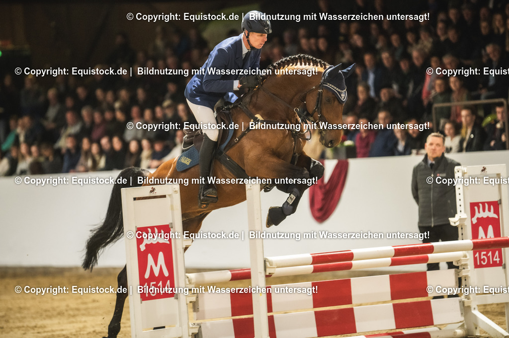 20240302_Hengstvorstellung_Marbach_TOMsPiC_0442 | equistock