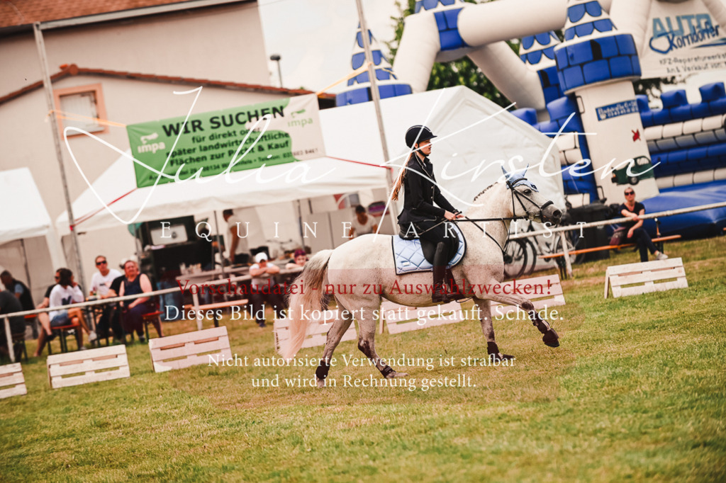 DSC_6970 | Pferde- und Turnierfotografie in Westsachsen. Pferdeportraits, Auftragszeichnungen und intuitive Kunst.
