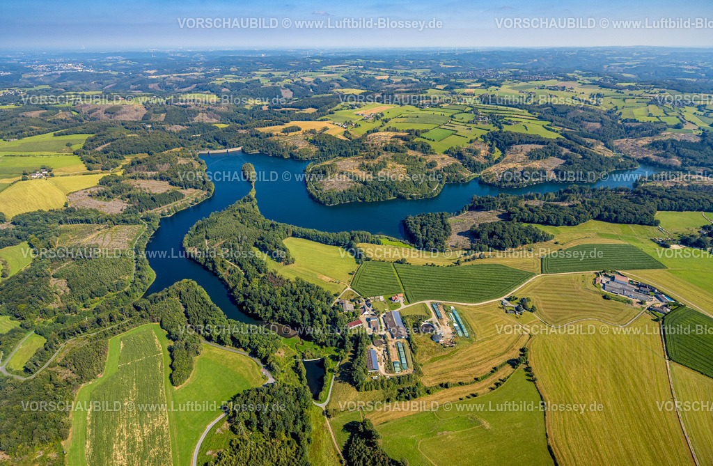 Ennepetal240814691 | Luftbild, Ennepetalsperre mit Staumauer und waldiger Insel, Hügellandschaft mit Waldschäden, Ottofülling Landwirtschaftsbetrieb, Böckel, Stadtgrenze Ennepetal, Boßel, Breckerfeld, Ruhrgebiet, Nordrhein-Westfalen, Deutschland