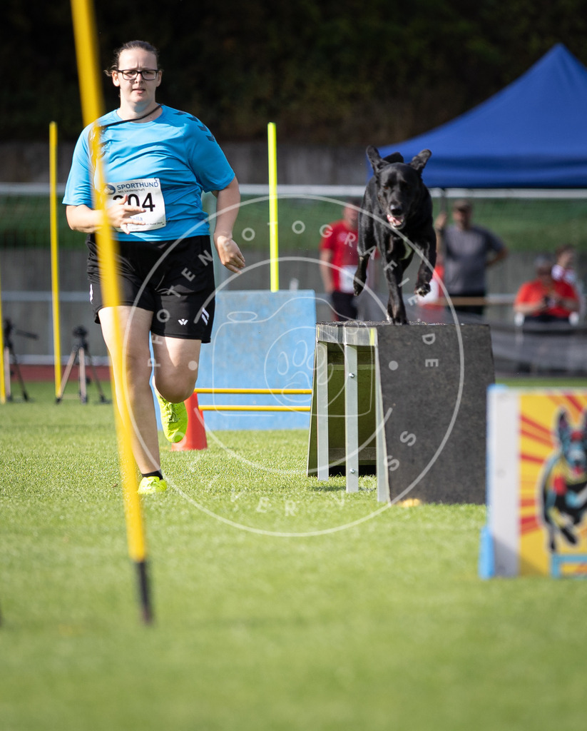 Pfotenfotografie_DV3A1268 | Hundefotografie, Tierfotograf, Pfotenfotografie, Fotoshooting Hund, Hunde Portrait, Hundesport, Hundeportraits, Heideshooting, Hunde, Sportfotograf, Hundefotograf, Turnierhundsport, THS,  - Realisiert mit Pictrs.com