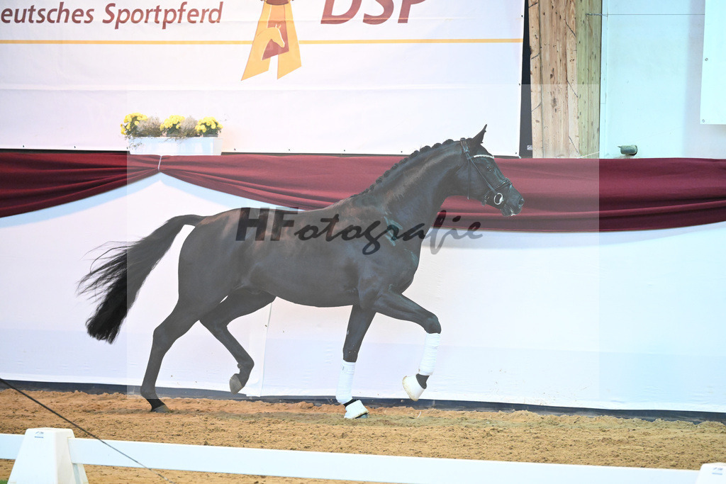 Kat-Nr. 8 v. Bon Courage_Maier_66220157 | hf-fotografie - Realisiert mit Pictrs.com