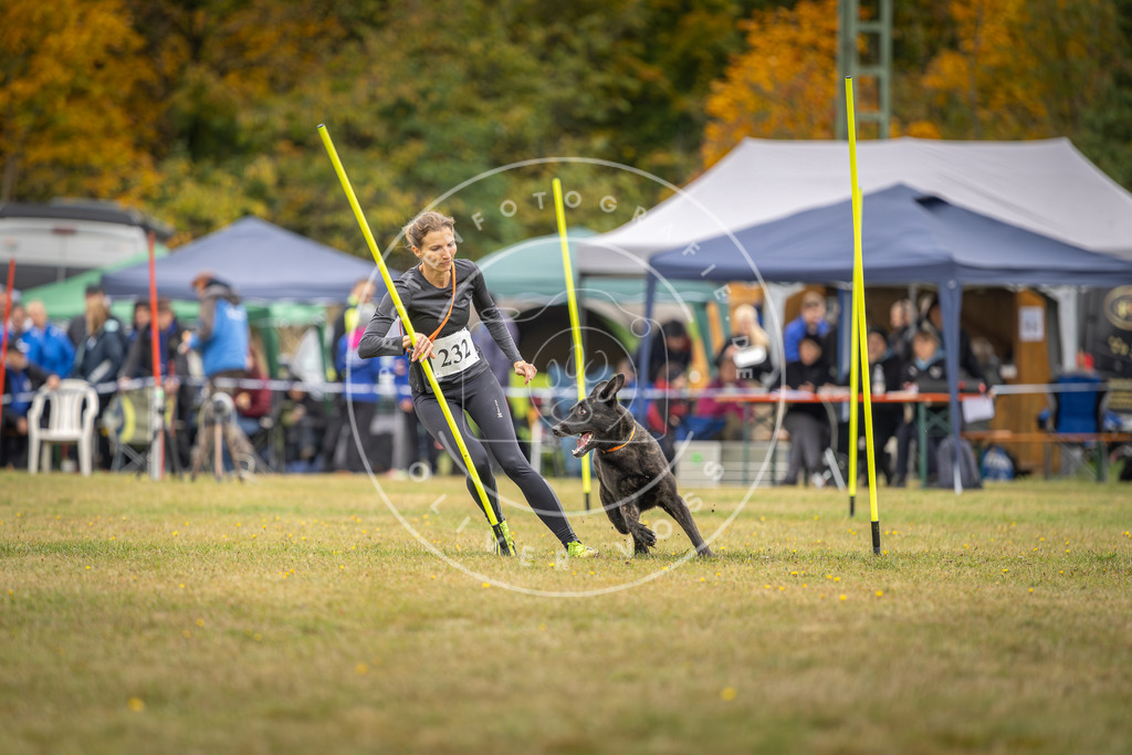 Pfotenfotografie_DV3A4227 | Hundefotografie, Tierfotograf, Pfotenfotografie, Fotoshooting Hund, Hunde Portrait, Hundesport, Hundeportraits, Heideshooting, Hunde, Sportfotograf, Hundefotograf, Turnierhundsport, THS,  - Realisiert mit Pictrs.com