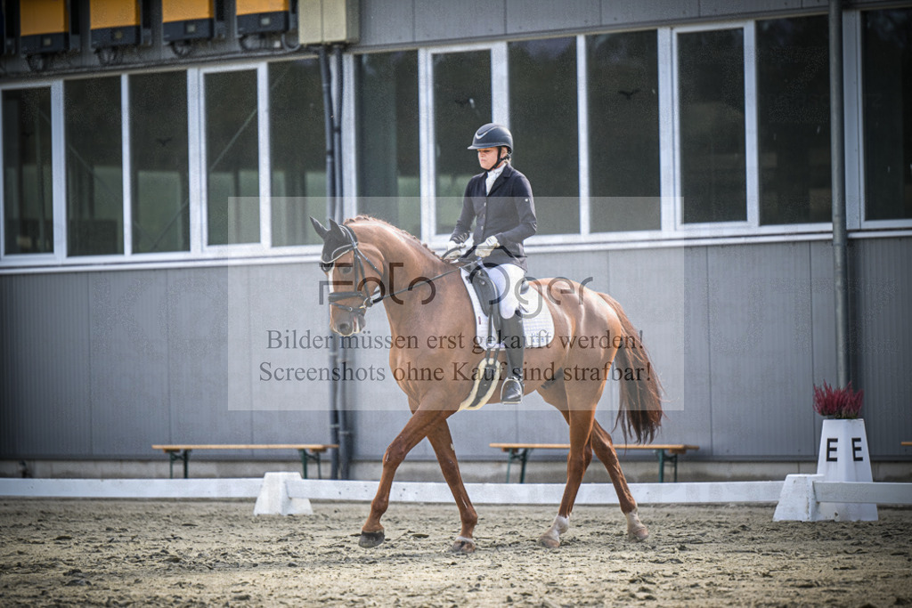 DOS_1027 | Entdecke hochwertige Reitturnierfotos von Foto Oger. Professionell, emotional und authentisch – jetzt Lieblingsmomente im Shop bestellen.Deutschlandweite Turnierfotografie. - Realisiert mit Pictrs.com