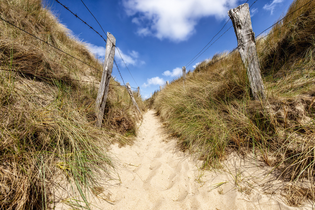 Typisch sandiger Weg-Dünenlandschaft-Nordseeinsel Sylt III | Dieses Bild zeigt einen typischen sandigen Pfad durch die Dünenlandschaft der Nordseeinsel Sylt.Es ist eine beliebte Urlaubsregion, die für ihre Strände, Dünen und den Nord-Ostsee-Wanderweg bekannt ist. - Realisiert mit Pictrs.com