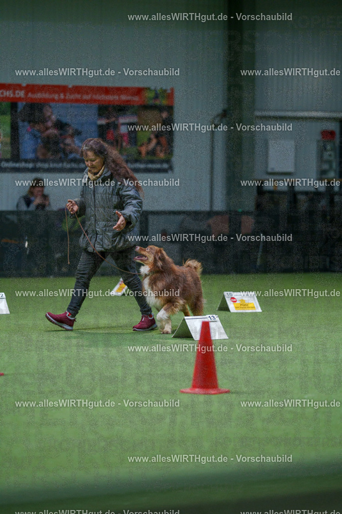 7R501195 | Professionelle Tierfotografie in Mönchengladbach von Daniel Wirth (allesWIRTHgut). Liebevolle & natürliche Bilder von Hunden & Katzen für unvergessliche Erinnerungen.