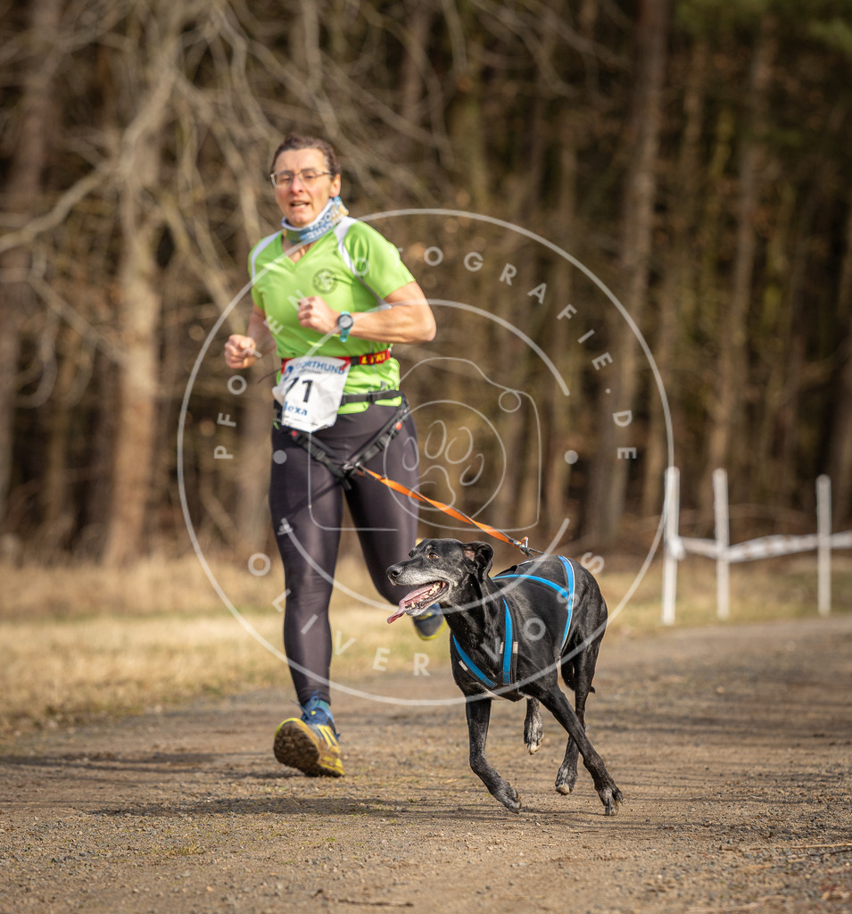 DV3A3721 | Hundefotografie, Tierfotograf, Pfotenfotografie, Fotoshooting Hund, Hunde Portrait, Hundesport, Hundeportraits, Heideshooting, Hunde, Sportfotograf, Hundefotograf, Turnierhundsport, THS,  - Realisiert mit Pictrs.com