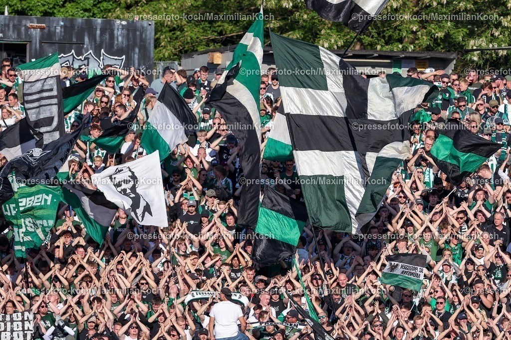 SCP09052502209 | 09.05.2025, Fußball, Preußen Münster - Hertha BSC, 2. Fußball Bundesliga, 33. Spieltag, Preußenstadion, Saison 2024 2025: Fans Zuschauer Fahnen Ultras feuern die Mannschaft an FeatureDFB regulations prohibit any use of photographs as image sequences and or quasi-video.