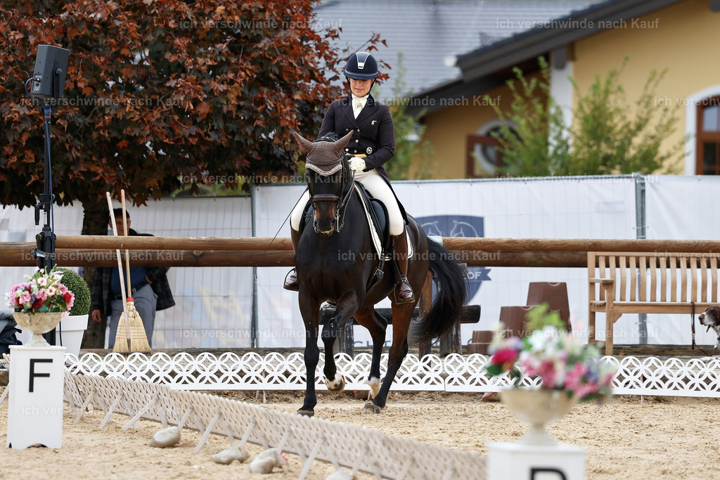 11-191-Dressur S___-StoibPH-898 | working equitationturnier fotograf videograf stoibphotography marixx film working equitation deutschland reitsport turnierfotografie eventfotografie equestrian events
