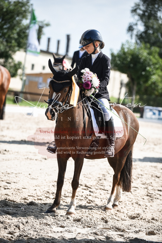 DSC_8738 | Pferde- und Turnierfotografie in Westsachsen. Pferdeportraits, Auftragszeichnungen und intuitive Kunst.