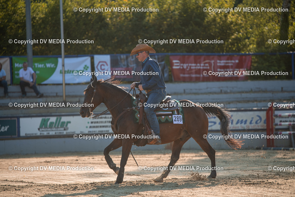 ZS2_9017 | dv-media-shop - Realisiert mit Pictrs.com