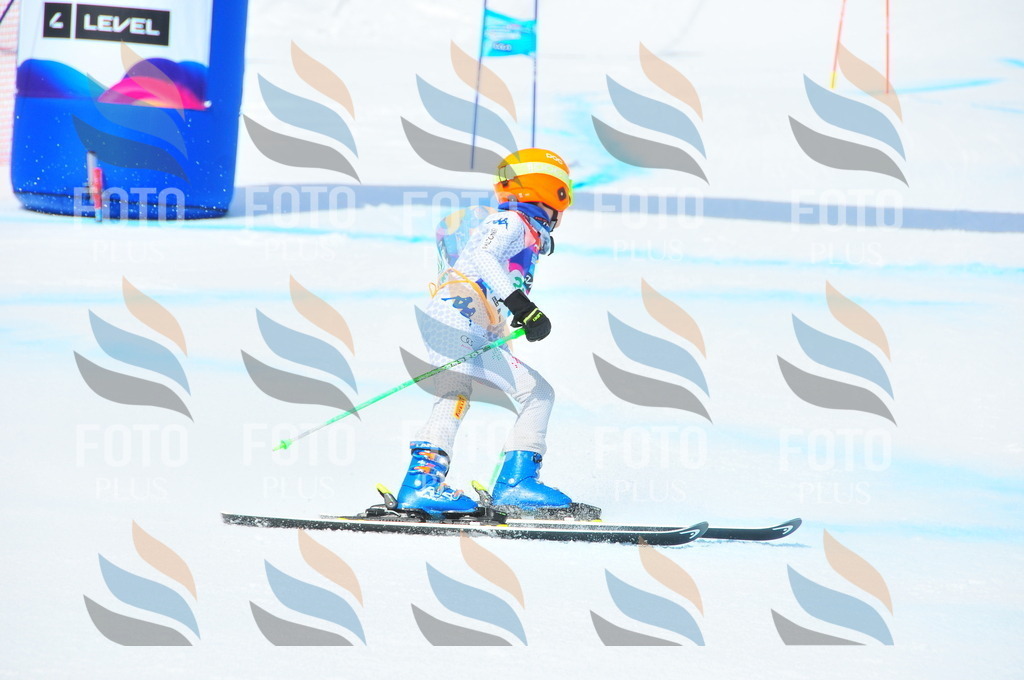 DSC_2963 | holidayphoto