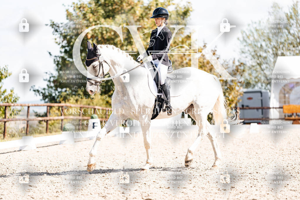 CK902921 | Turnierfotografie Pferdefotografie Trier Rheinland-Pfalz Pferdesport Reitsport Tierfotografie Sportfotografie Pferdevideo Pferdevideografie Equestrianvideography equestrianphotography  - Realisiert mit Pictrs.com