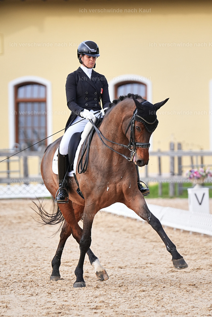 13-186-S___ -Marixx-7086 | working equitationturnier fotograf videograf stoibphotography marixx film working equitation deutschland reitsport turnierfotografie eventfotografie equestrian events
