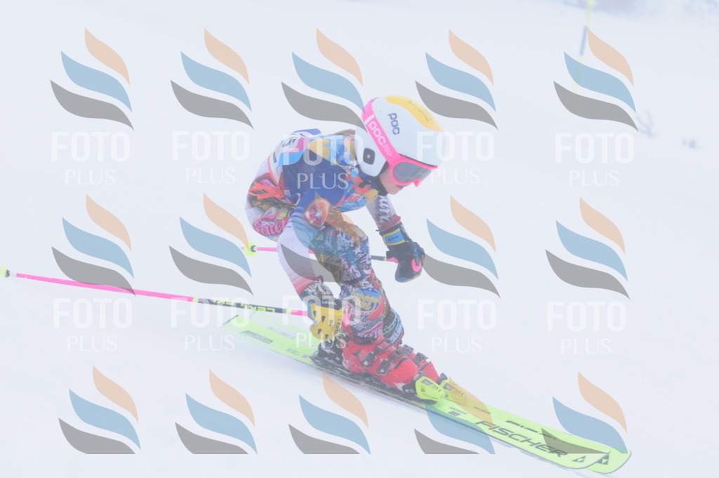 C2039 | holidayphoto