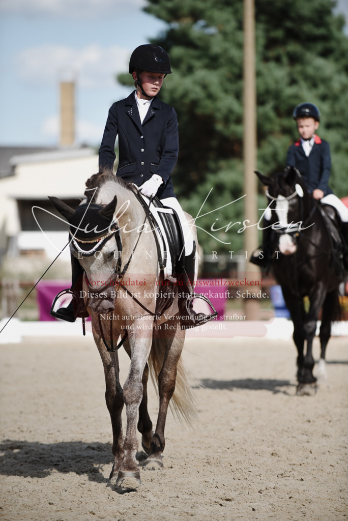 DSC_9981 | Pferde- und Turnierfotografie in Westsachsen. Pferdeportraits, Auftragszeichnungen und intuitive Kunst.