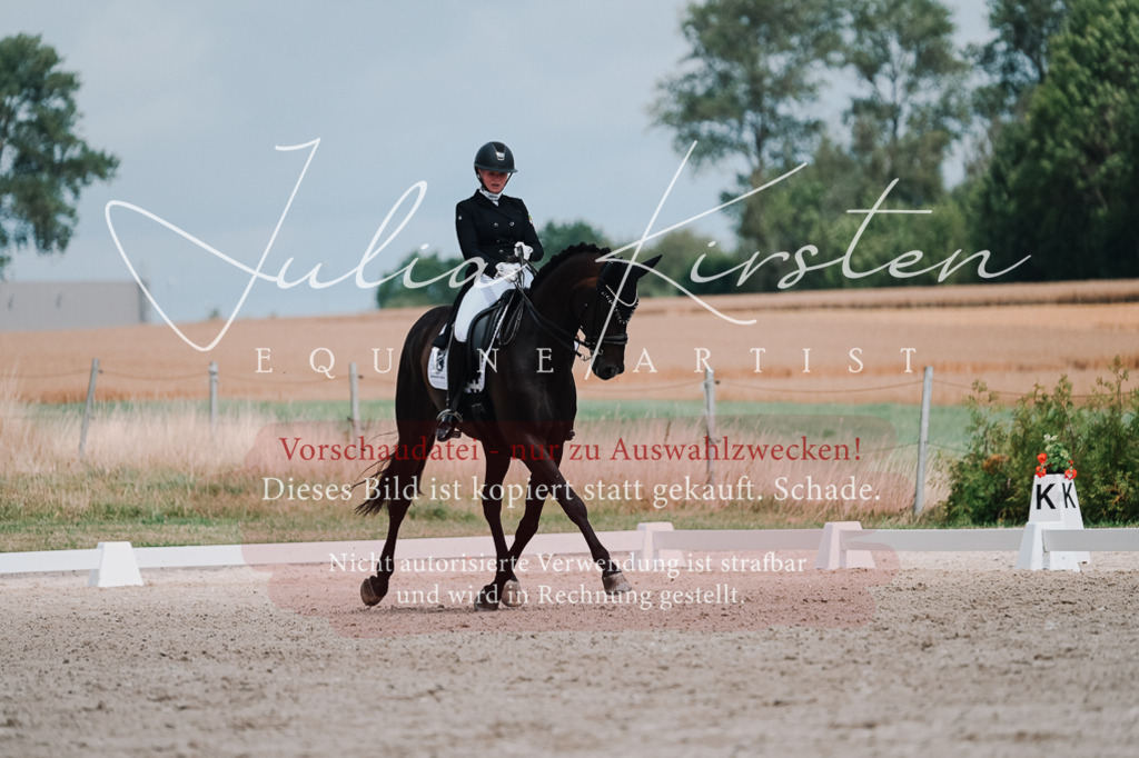 DSC_4325-2 | Pferde- und Turnierfotografie in Westsachsen. Pferdeportraits, Auftragszeichnungen und intuitive Kunst.