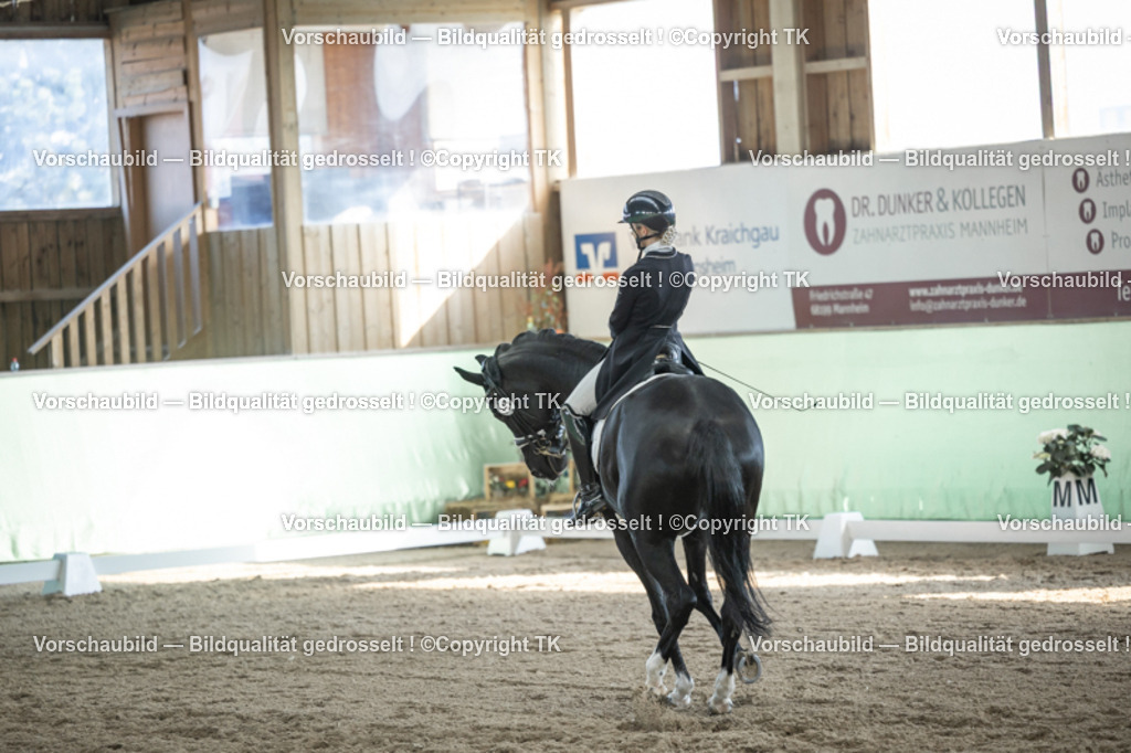 _D5A0256 | Emotionale Pferde- & People-Fotografie rund um Heidelberg, Leimen & Umgebung. Natürliche Fotos von Pferd, Mensch & Familie. Jetzt Termin sichern!