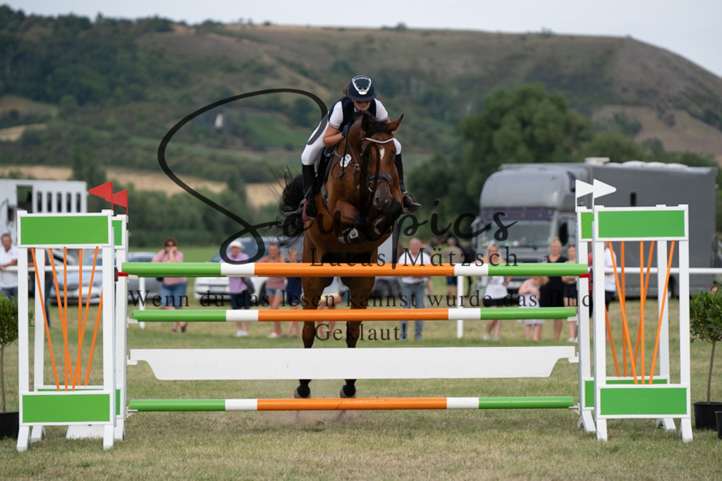 A7V02821 | Pferdefotograf