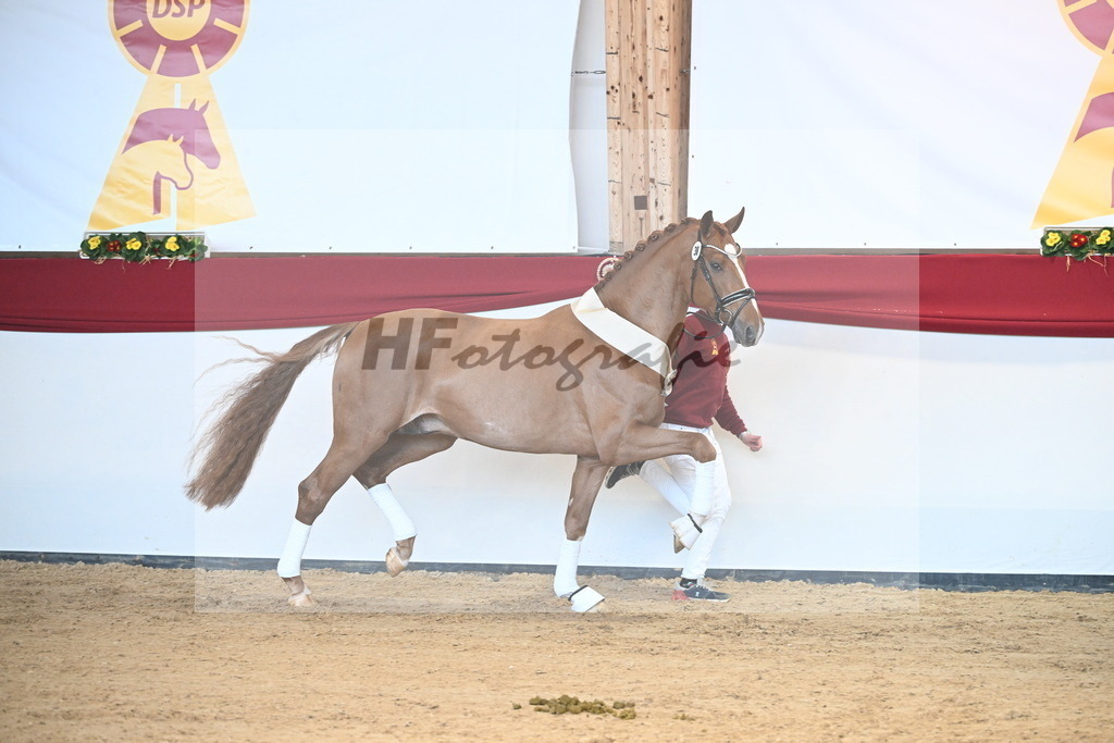 Kat.-Nr. 38 v. De Sandro_Schmid_2242782 | hf-fotografie - Realisiert mit Pictrs.com