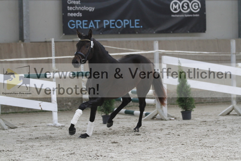 _MG_9476 | equestrian-live-com