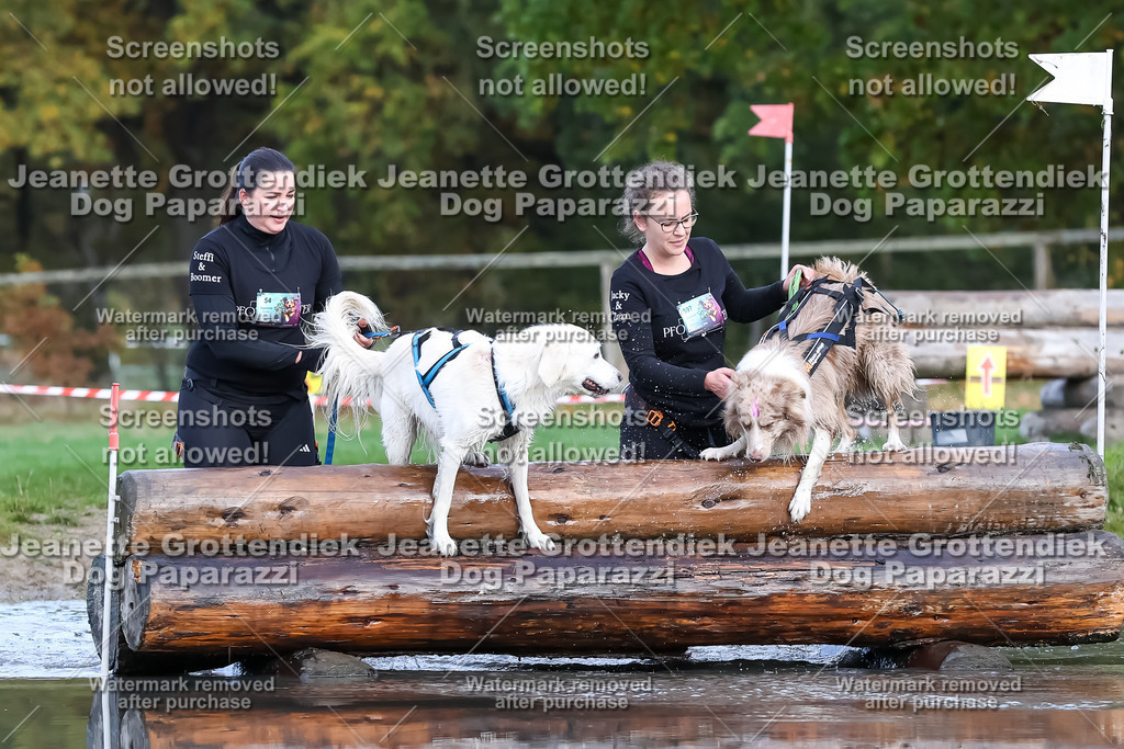 Dog Paparazzi - Strongdog 10-25-6897 | Dog Paparazzi Jeanette Grottendiek Fotografie & Videografie - Realisiert mit Pictrs.com