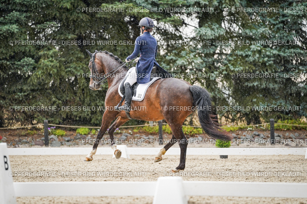 DSC08003 | Pferdegrafie