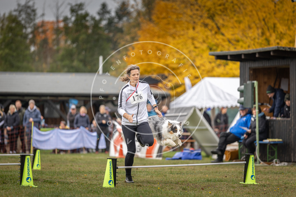 Pfotenfotografie_DV3A5458 | Hundefotografie, Tierfotograf, Pfotenfotografie, Fotoshooting Hund, Hunde Portrait, Hundesport, Hundeportraits, Heideshooting, Hunde, Sportfotograf, Hundefotograf, Turnierhundsport, THS,  - Realisiert mit Pictrs.com