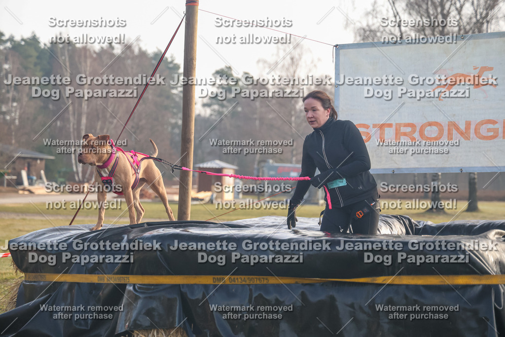 Dog Paparazzi - SD North Sa 830-900-142 | Dog Paparazzi Jeanette Grottendiek Fotografie & Videografie - Realisiert mit Pictrs.com