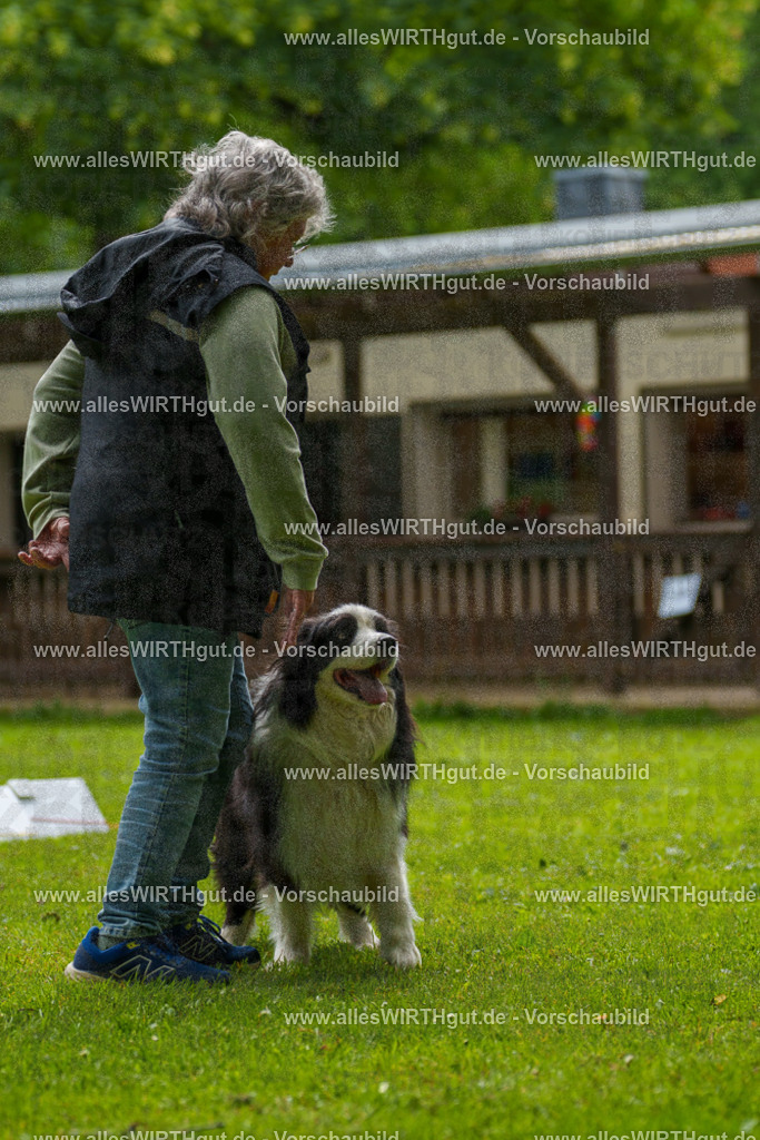 @allesWIRTHgut_Tierfotografie - www.allesWIRTHgut.de - 093940-7R507468 | Professionelle Tierfotografie in Mönchengladbach von Daniel Wirth (allesWIRTHgut). Liebevolle & natürliche Bilder von Hunden & Katzen für unvergessliche Erinnerungen.