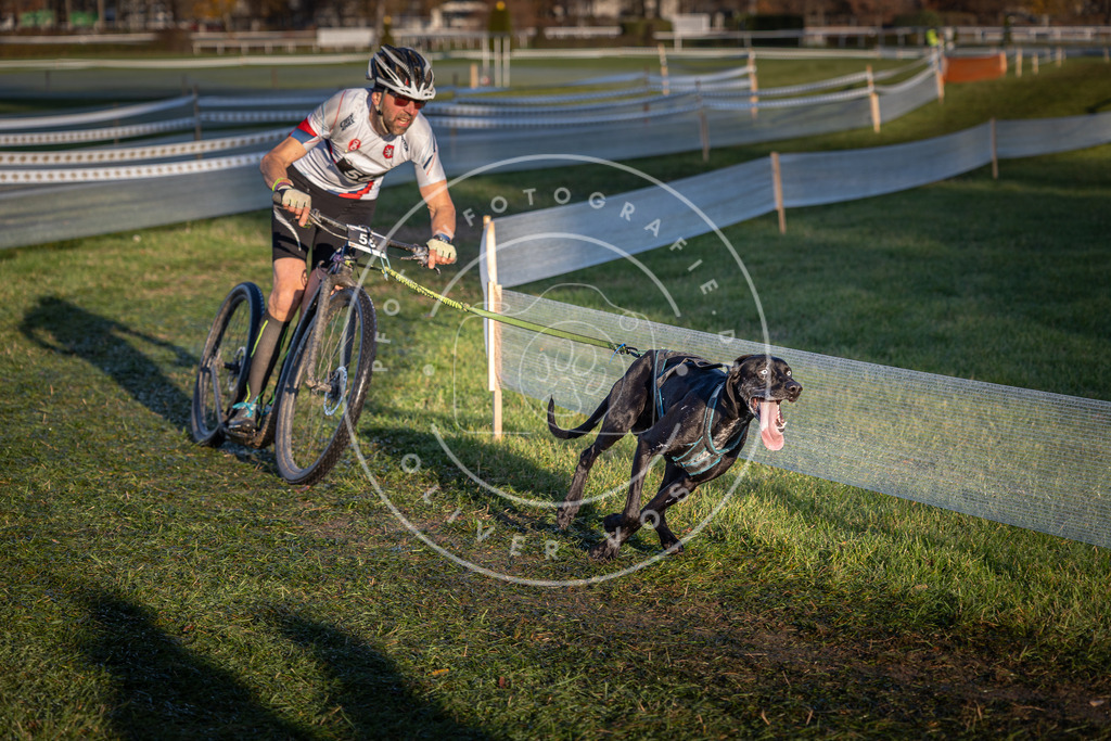 CaniXpix_0L8A3074 | Hundefotografie, Tierfotograf, Pfotenfotografie, Fotoshooting Hund, Hunde Portrait, Hundesport, Hundeportraits, Heideshooting, Hunde, Sportfotograf, Hundefotograf, Turnierhundsport, THS,  - Realisiert mit Pictrs.com