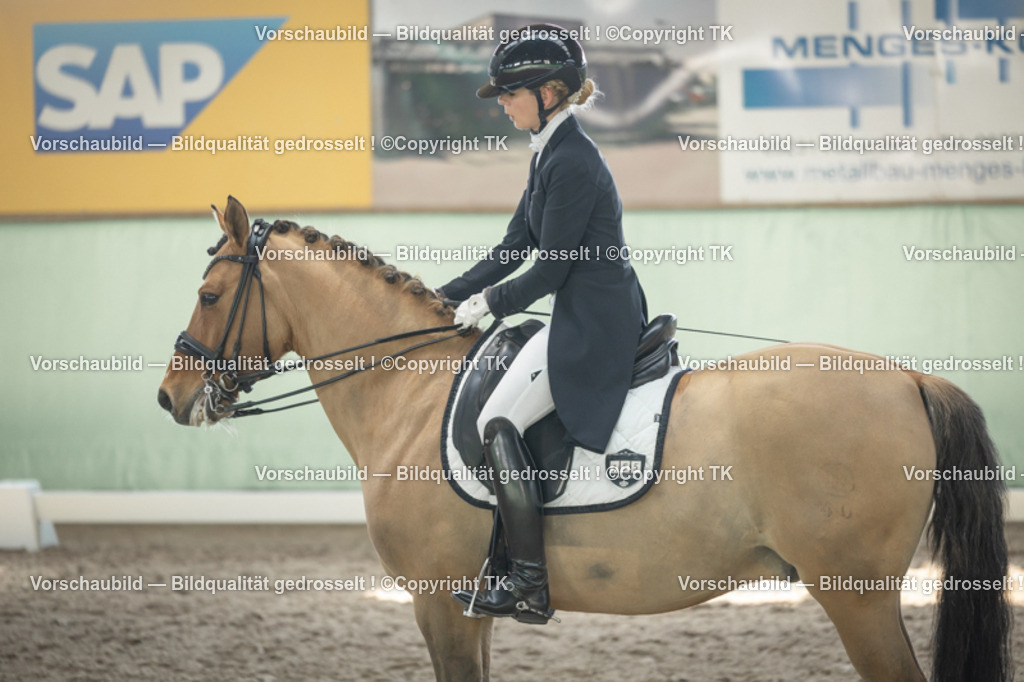 _D5A1801 | Emotionale Pferde- & People-Fotografie rund um Heidelberg, Leimen & Umgebung. Natürliche Fotos von Pferd, Mensch & Familie. Jetzt Termin sichern!