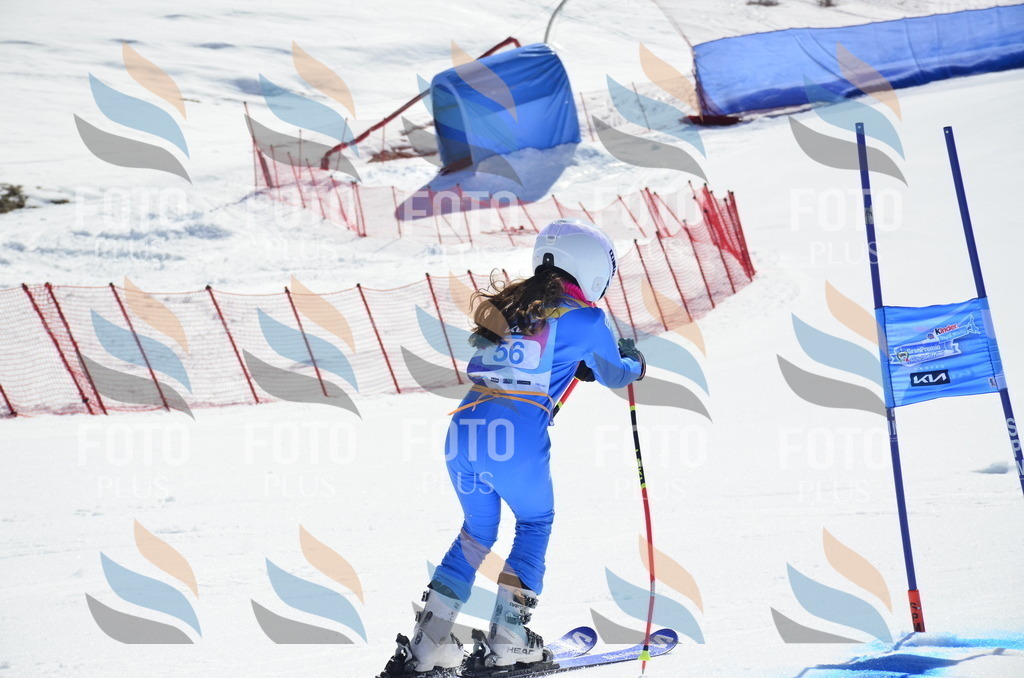 _ELE0199 | holidayphoto