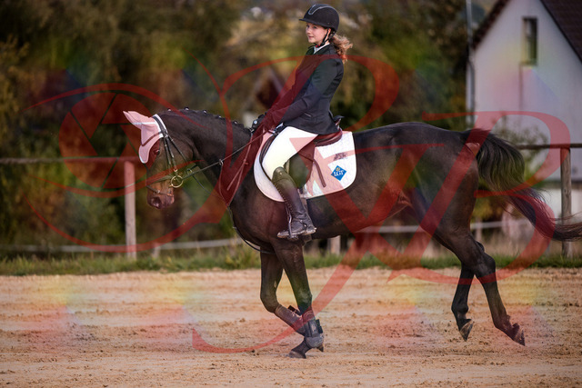2026_10_03_Siefer-Hof_145930_Z81_41906267 | Professionelle Reitsport-, Turnier- und Eventfotografie von Robert Broda. Galerien mit ausgewählten und bearbeiteten Bildern direkt online ansehen und bestellen.