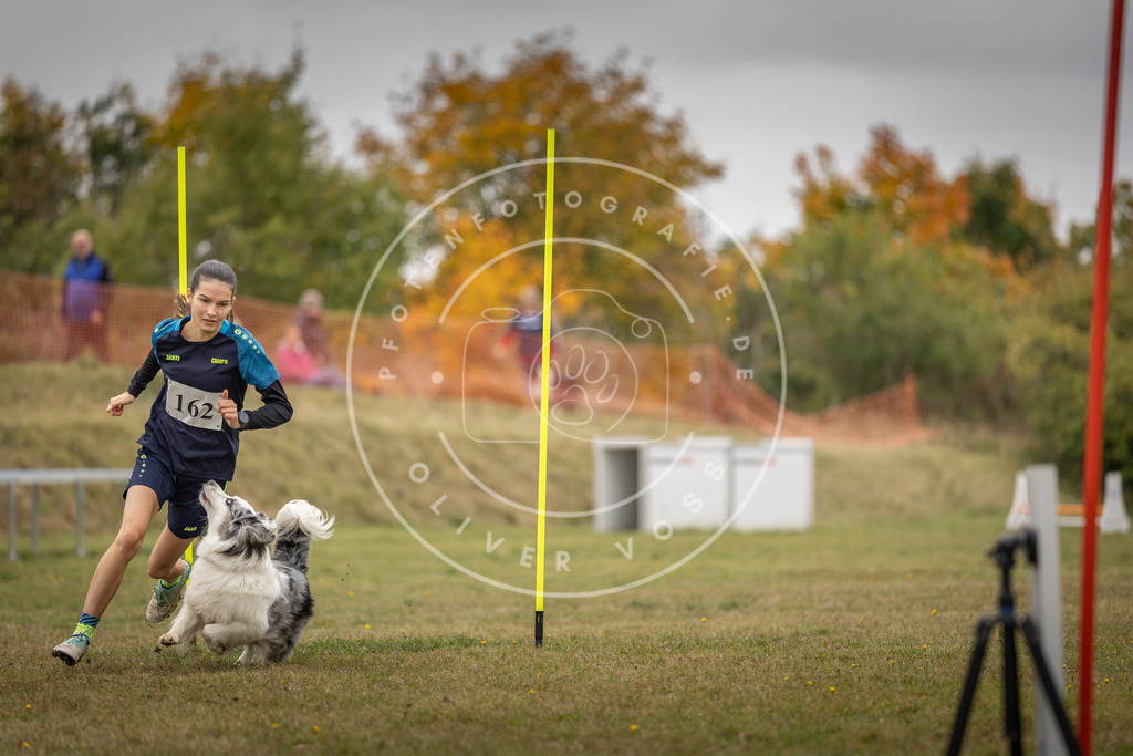 Pfotenfotografie_DV3A5161 | Hundefotografie, Tierfotograf, Pfotenfotografie, Fotoshooting Hund, Hunde Portrait, Hundesport, Hundeportraits, Heideshooting, Hunde, Sportfotograf, Hundefotograf, Turnierhundsport, THS,  - Realisiert mit Pictrs.com