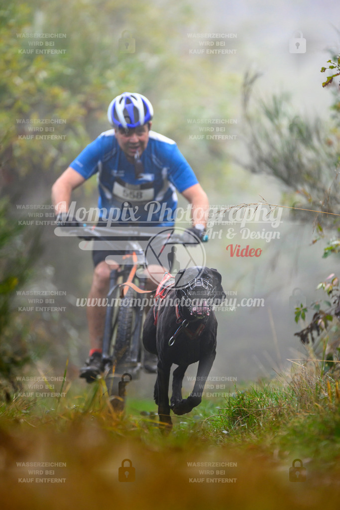 MompixPhotography_20TSB_E4_Bike-46 | PayLife