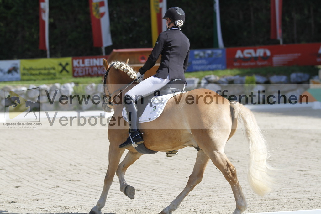 _MG_6484 | equestrian-live-com